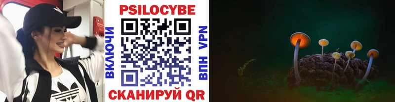 Псилоцибиновые грибы Cubensis  Рославль 